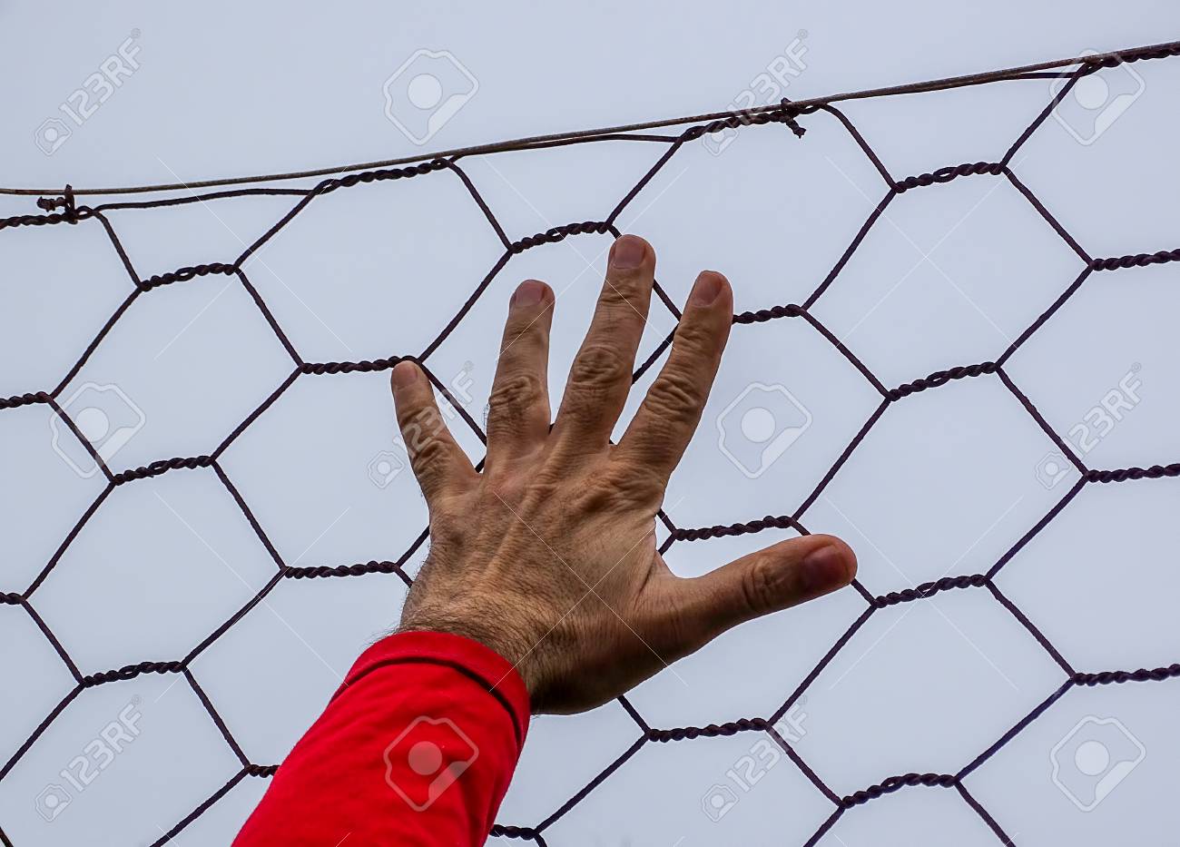 etiam-dictum-ipsum-a-felis