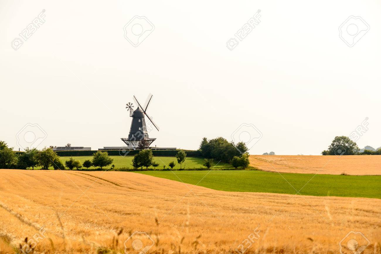 夏のデンマークの田舎の特徴的な風車 の写真素材 画像素材 Image