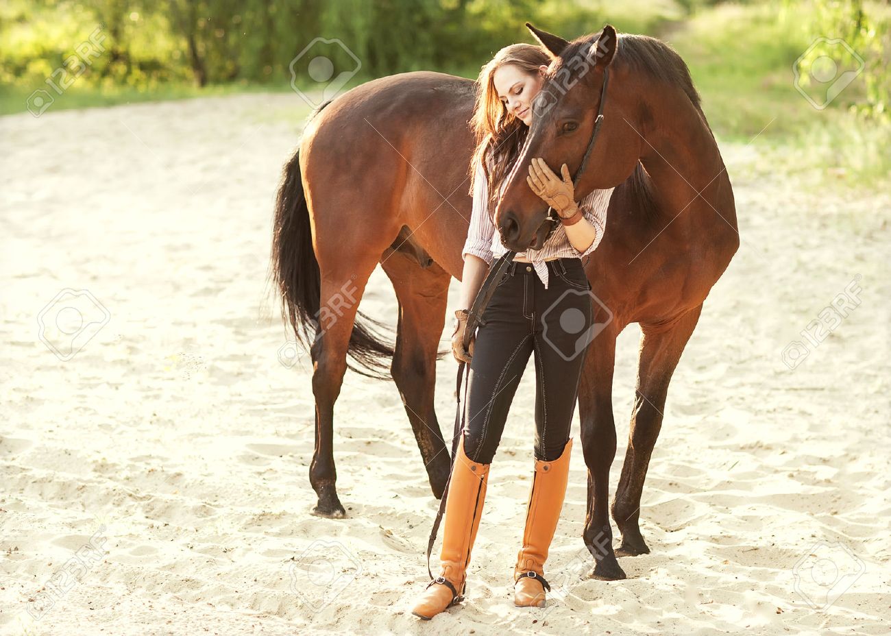 Schone Frau Und Pferd Lizenzfreie Fotos Bilder Und Stock Fotografie Image 31524338