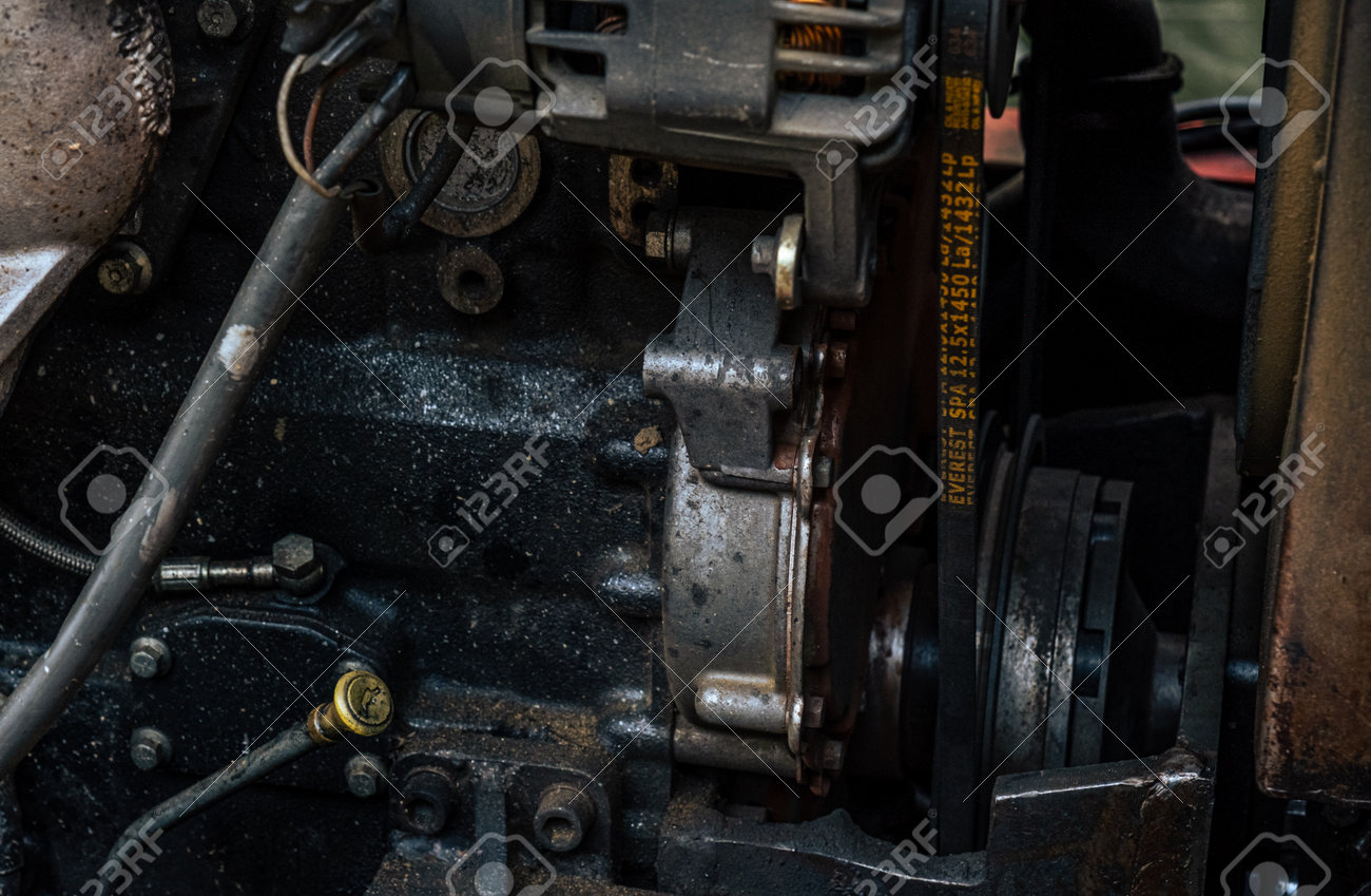 etiam-dictum-ipsum-a-felis