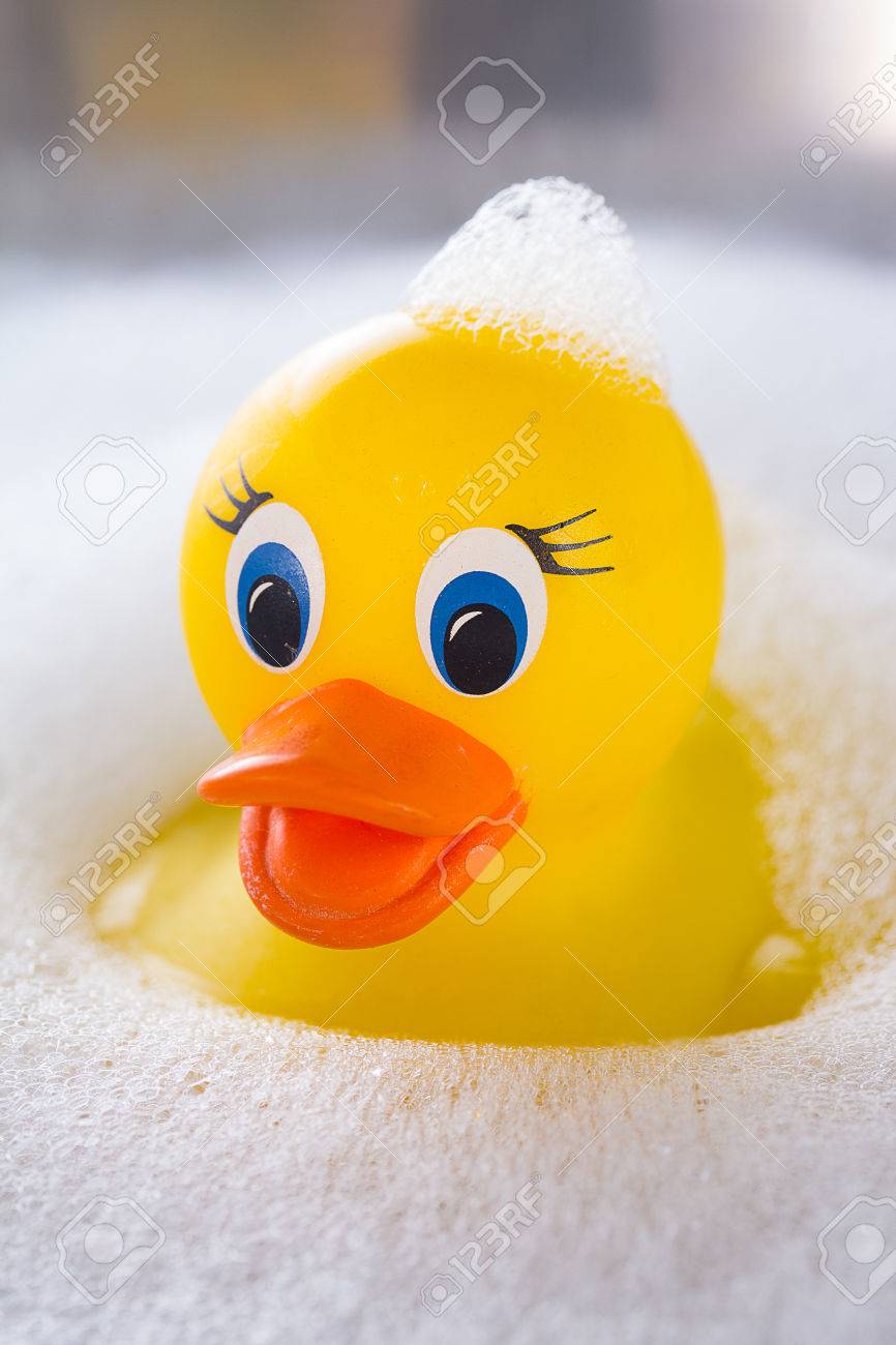 Yellow Rubber Duck Floating In Soap Suds Stock Photo, Picture And Yellow Rubber Duck Floating In Soap Suds Stock Photo, Picture And