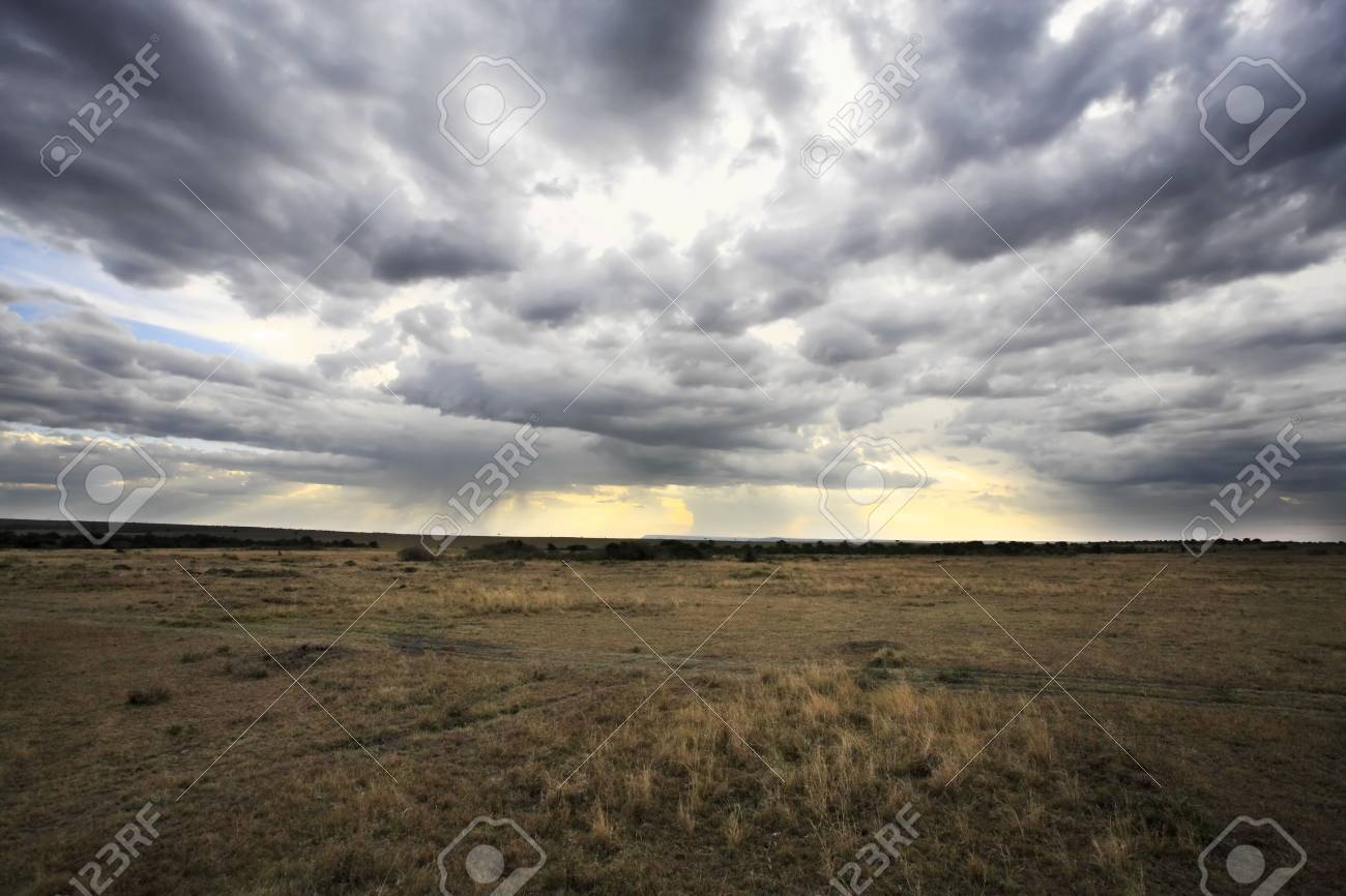 in the beautiful plains of the masai reserve in kenya africa - 121744484 in the beautiful plains of the masai reserve in kenya africa - 121744484