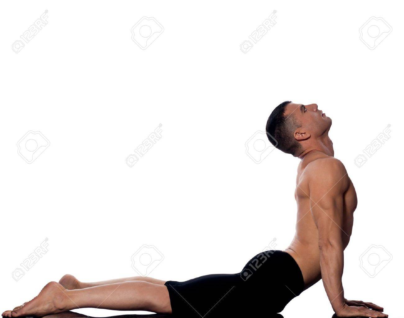 Cobra Pose Stretch Cobra Pose Stretch