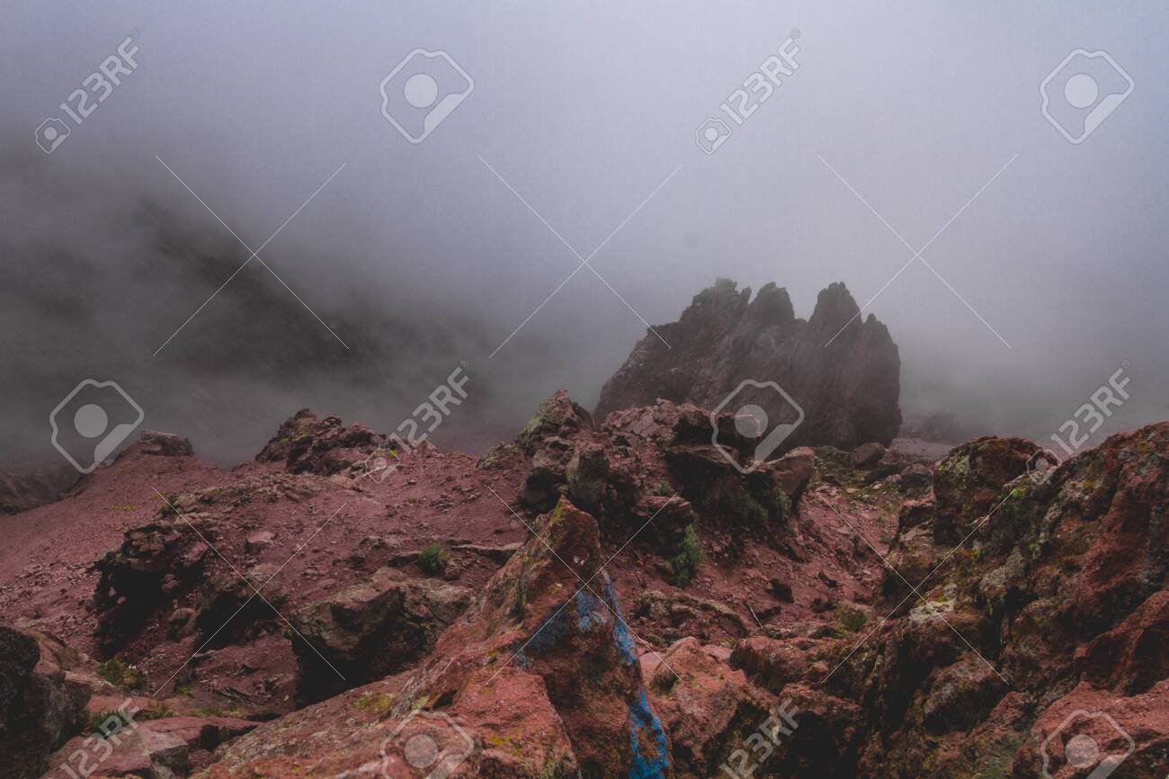 etiam-dictum-ipsum-a-felis