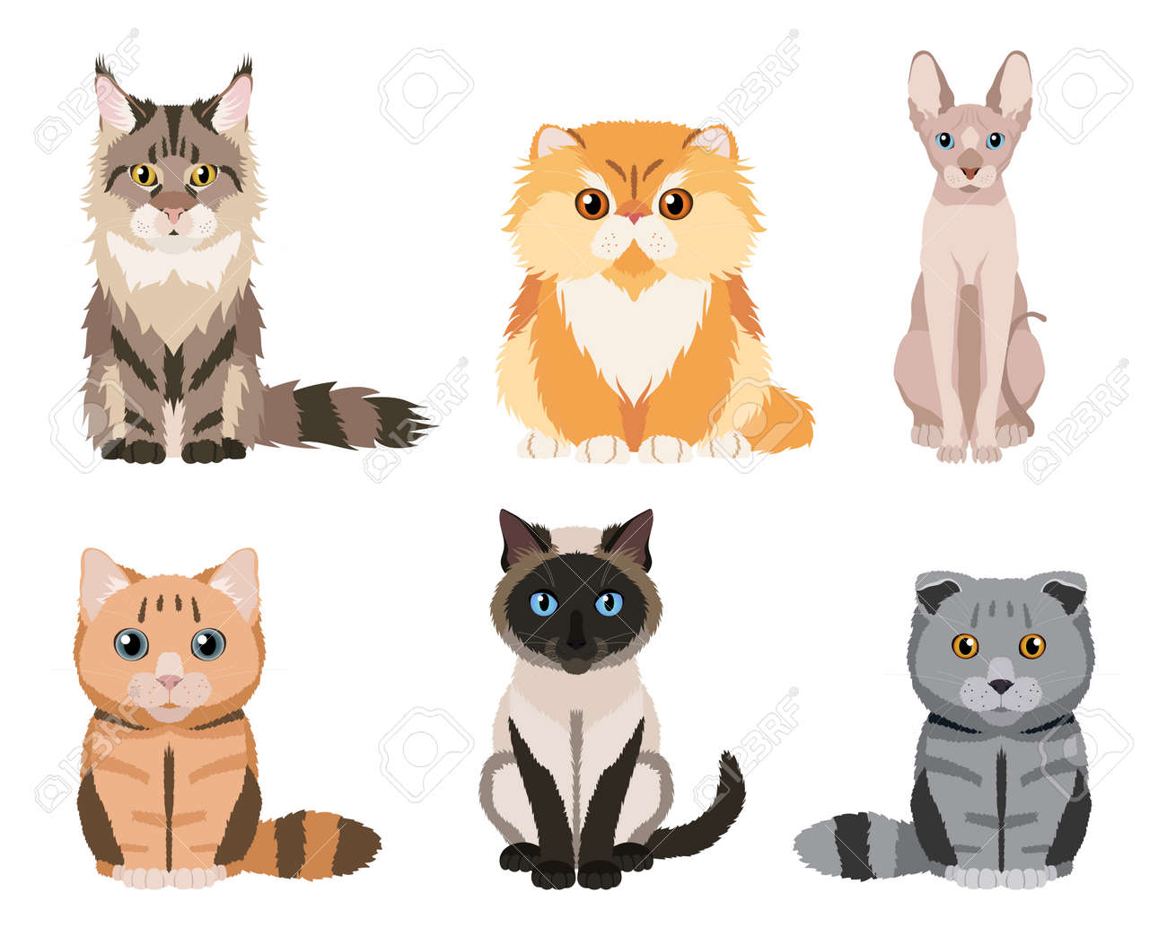 Premium Vector Persian cat icon feline breed funny pet