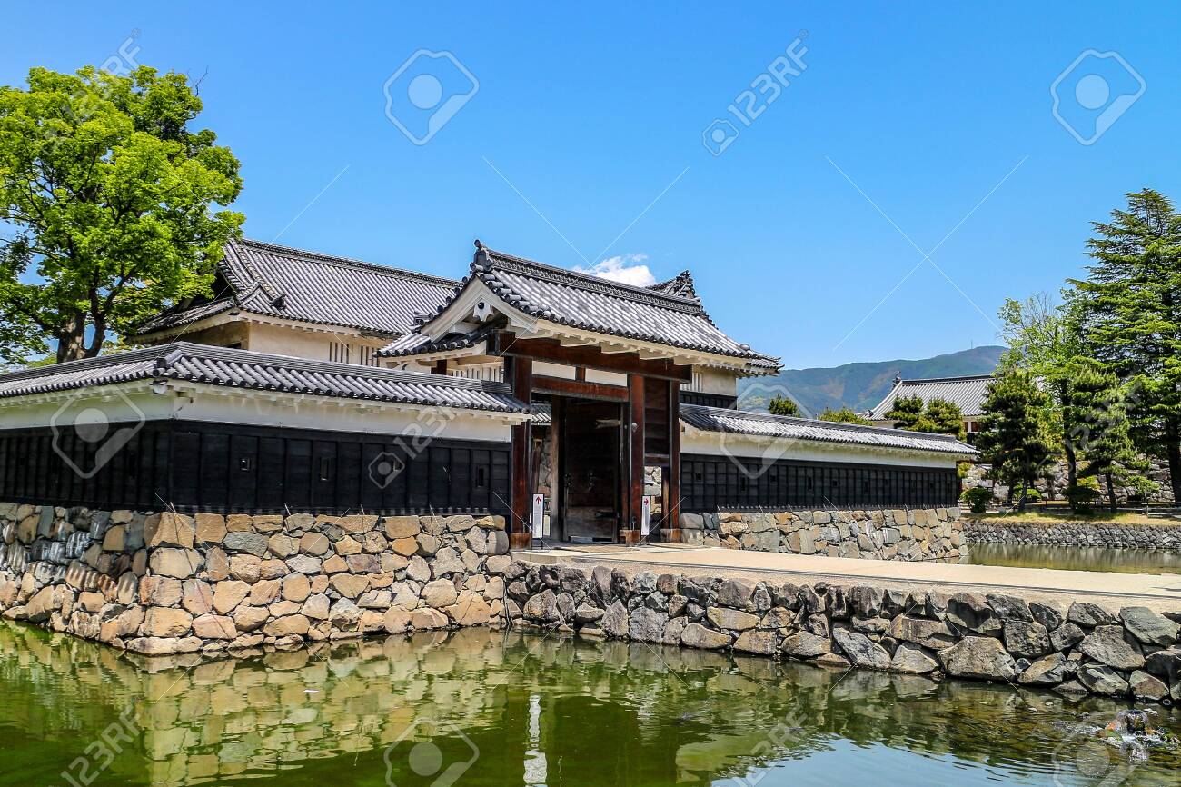 etiam-dictum-ipsum-a-felis