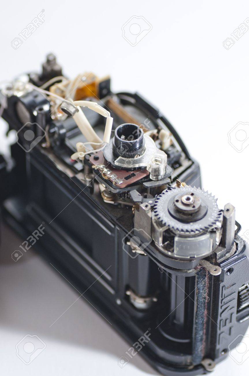 etiam-dictum-ipsum-a-felis