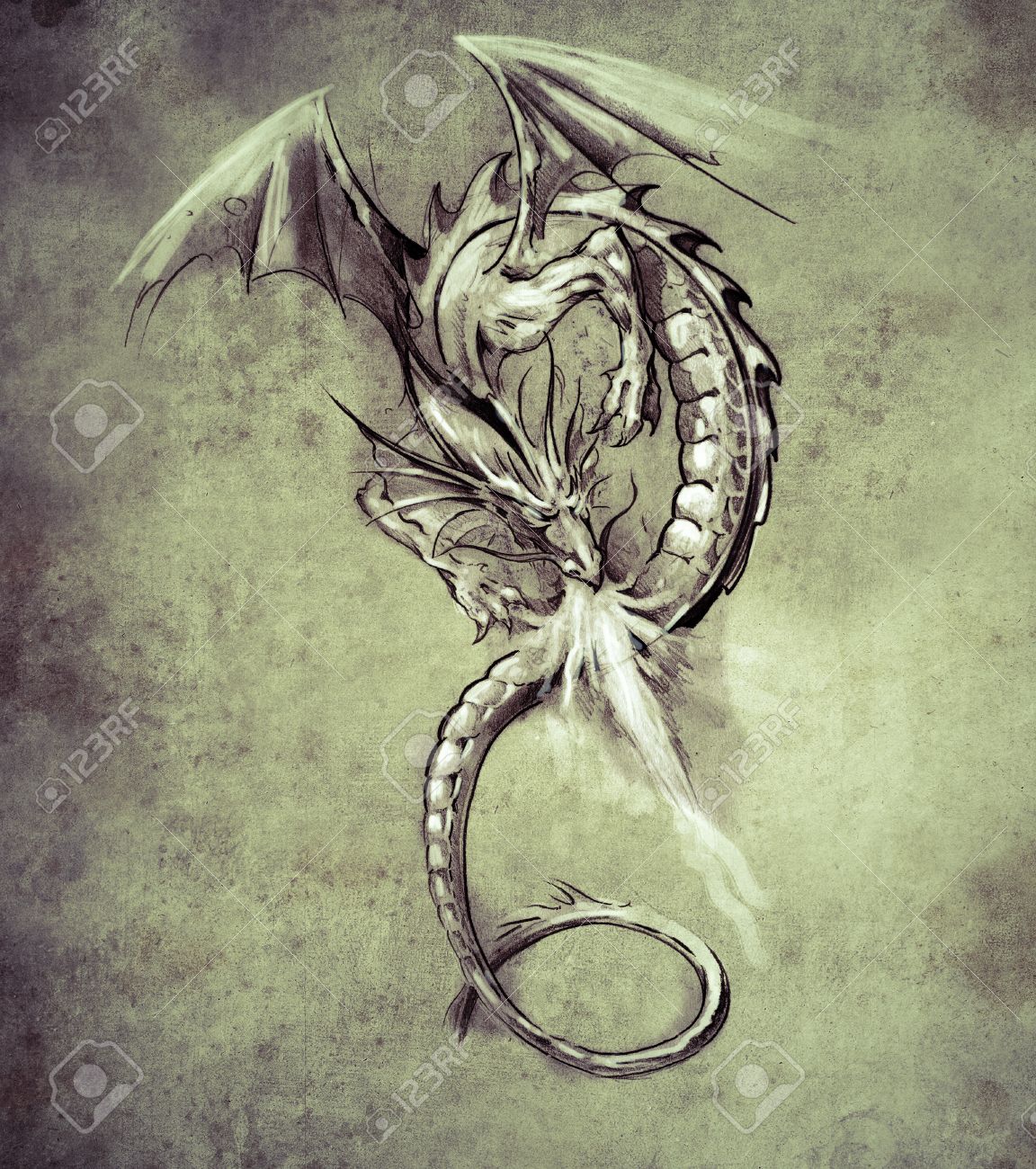 Sketch Of Tattoo Art Fantasy Dragon Sketch Of Tattoo Art Medieval Monster Stock Photo Picture And Royalty Free Image Image