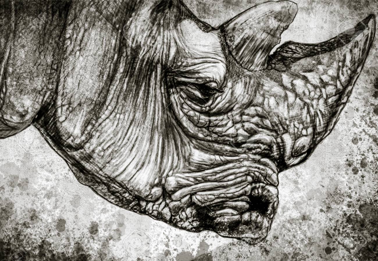 Дали носороги слеза картина