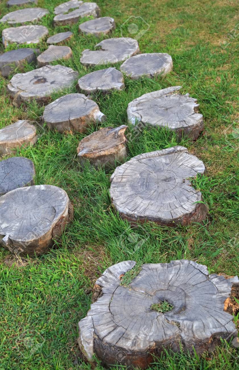 Decorative Path Across The Lawn Composed Of Stumps Stock Photo