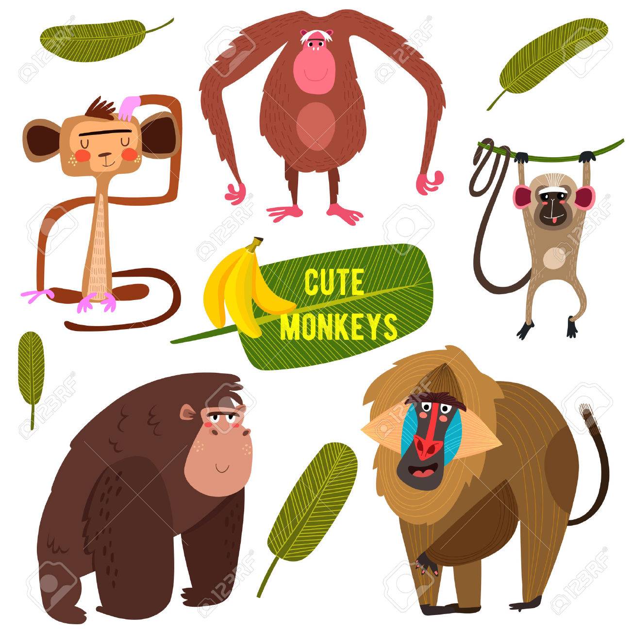 Coleção Colorida De Macacos Engraçados De Fife Bonito. (Todos Os Objetos  São Grupos Isolados Para Que Você Possa Mover E Separá-los) - Vetor De  Estoque Royalty Free SVG, Cliparts, Vetores, e Ilustrações