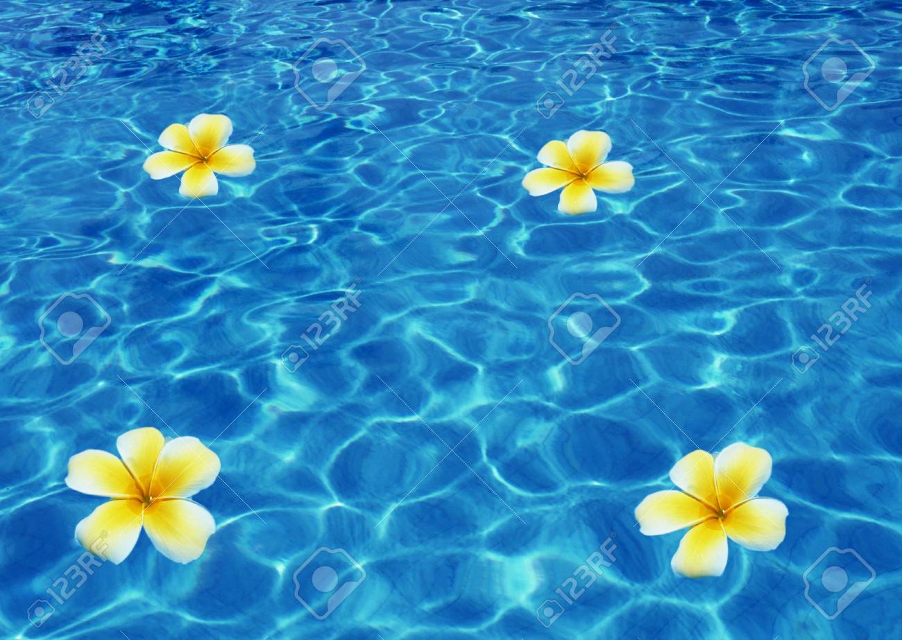 海の熱帯の花 の写真素材 画像素材 Image