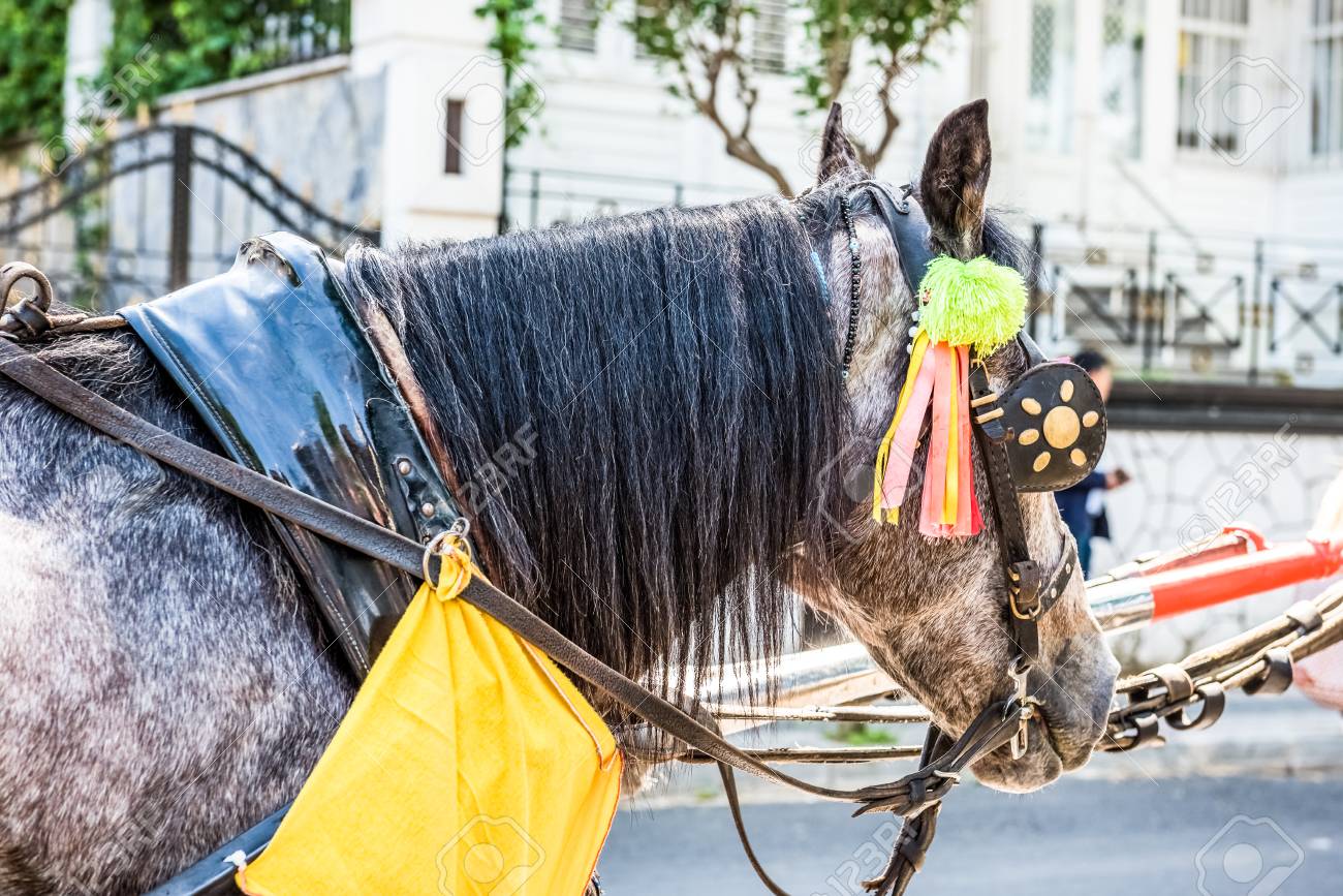 ブユカダ(英語で「ビッグアイランド」を意味する)またはプリンスアイランドで観光客とコーチや馬車.Buyuk Adaは、イスタンブール、トルコの美しい通りやフェトンツアーで有名です。の写真素材・画像素材  Image 91902482