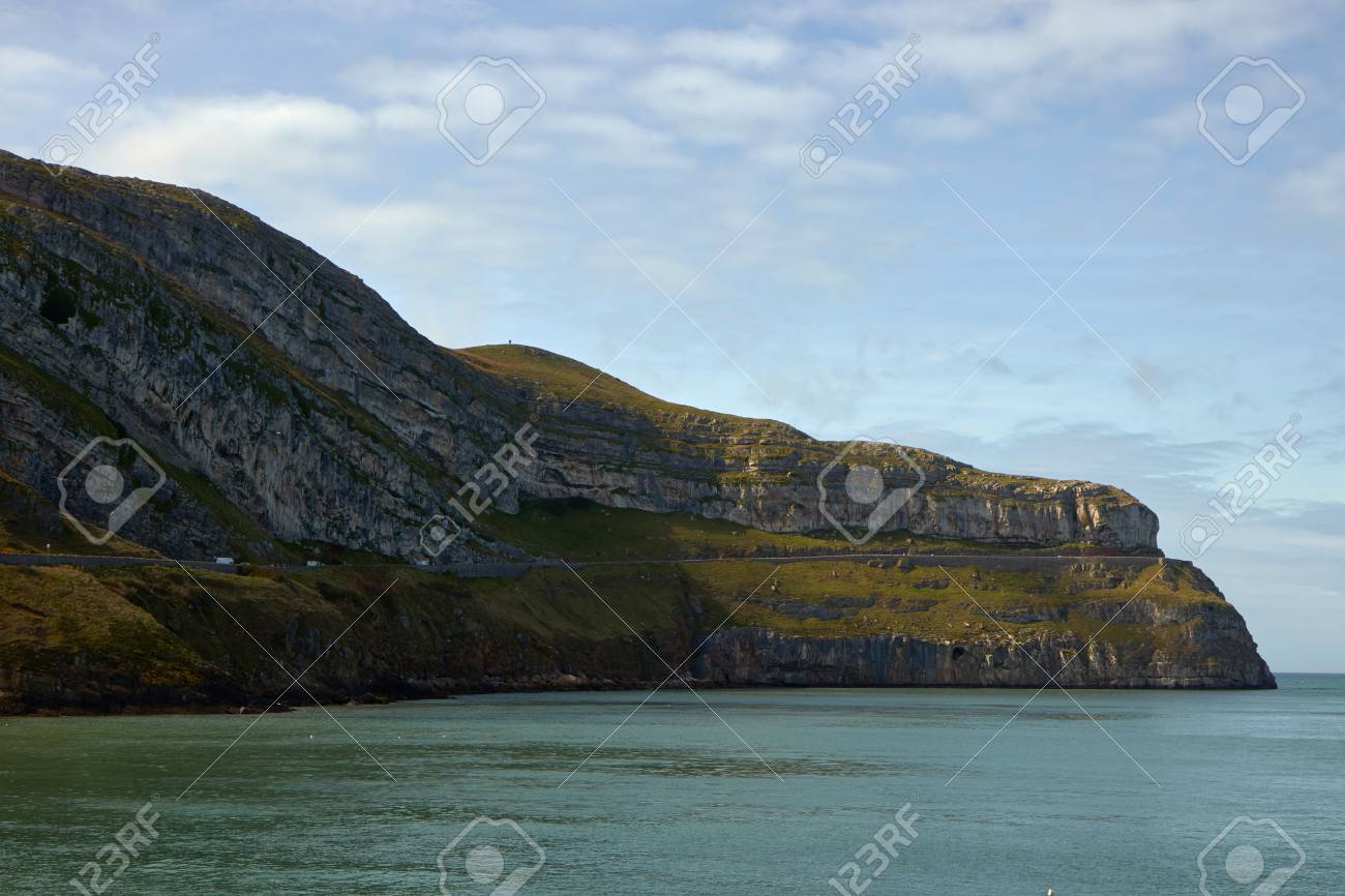 etiam-dictum-ipsum-a-felis