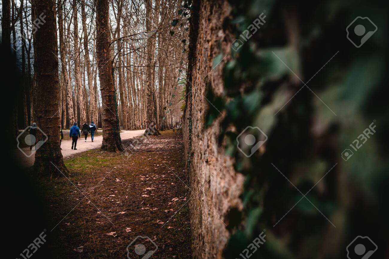 etiam-dictum-ipsum-a-felis