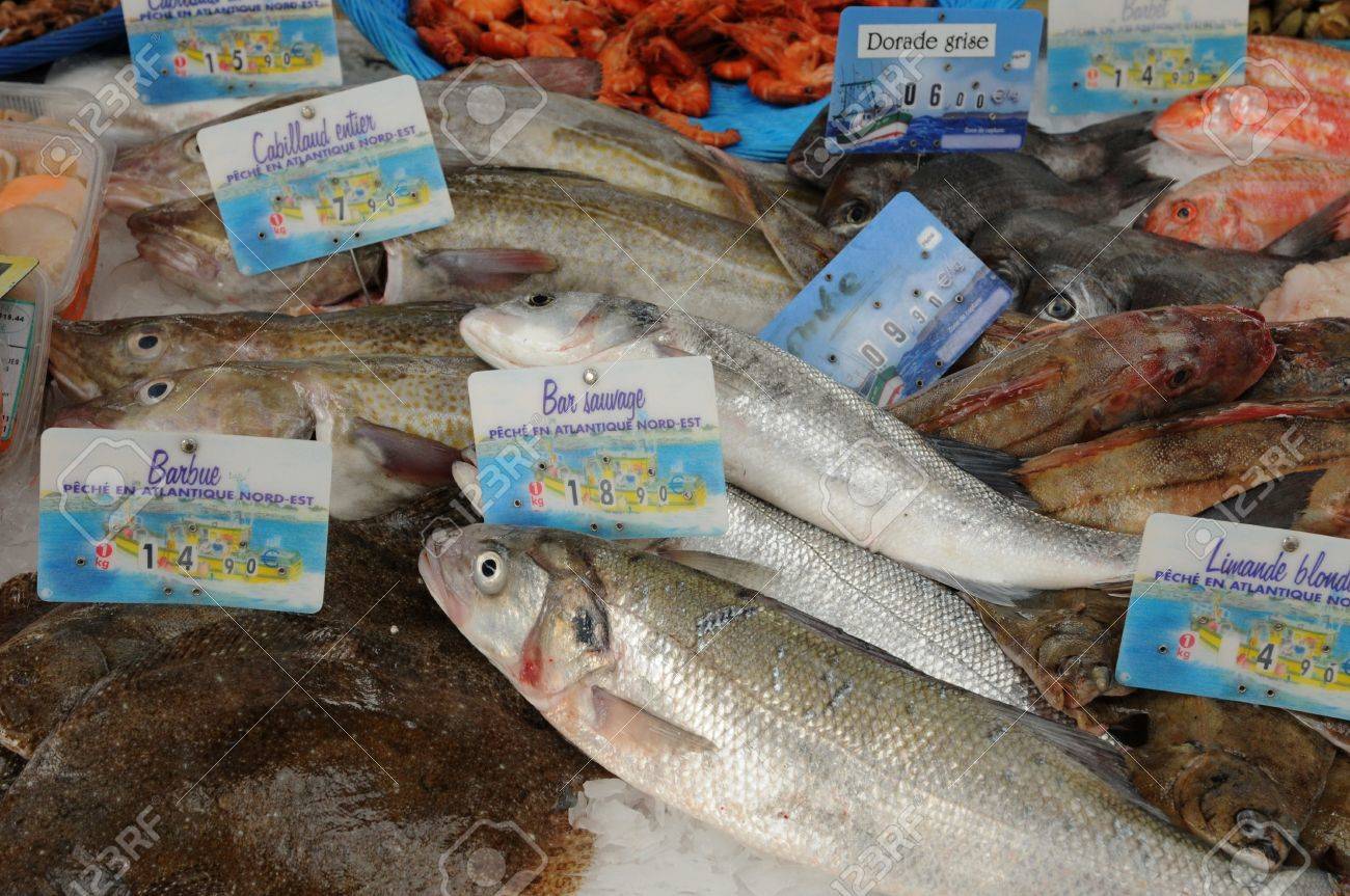 Fish In A French Fish Shop Stock Photo, Picture and Royalty Free Image.  Image 11729886.