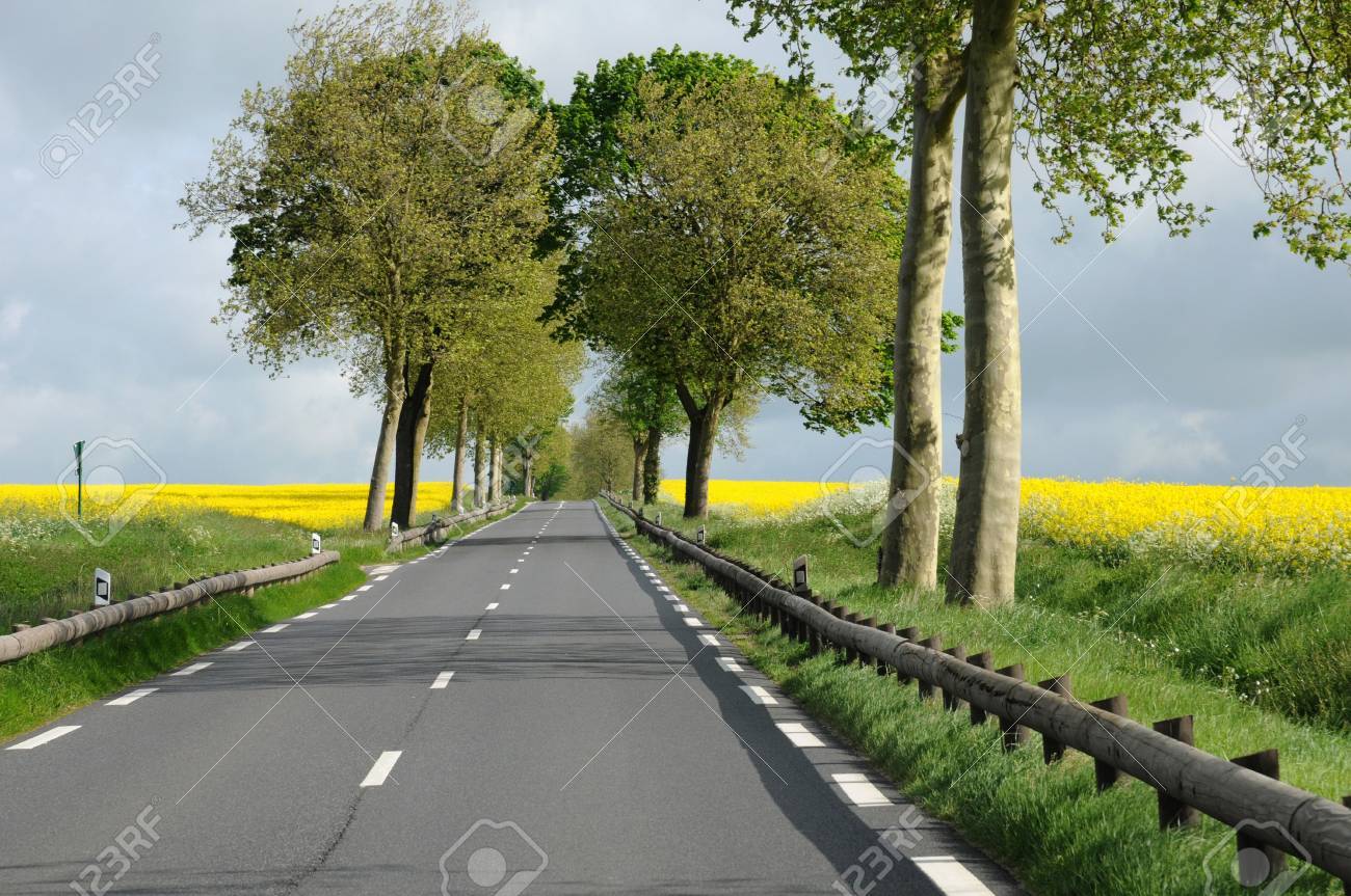 https://previews.123rf.com/images/packshot/packshot1210/packshot121000564/15750508-france-maudetour-country-road-in-val-d-oise.jpg