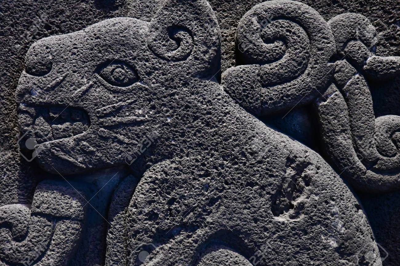 etiam-dictum-ipsum-a-felis