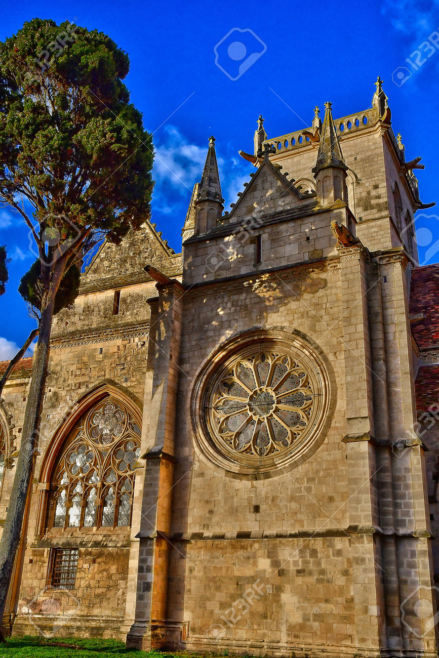 etiam-dictum-ipsum-a-felis