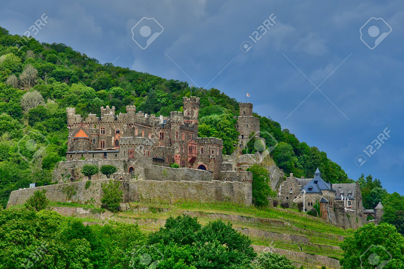 etiam-dictum-ipsum-a-felis