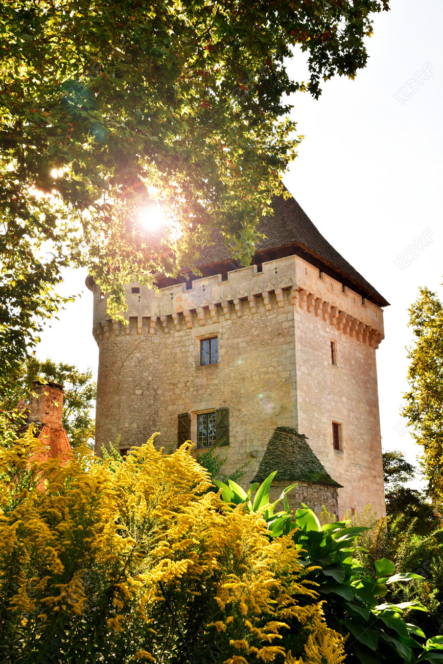 etiam-dictum-ipsum-a-felis