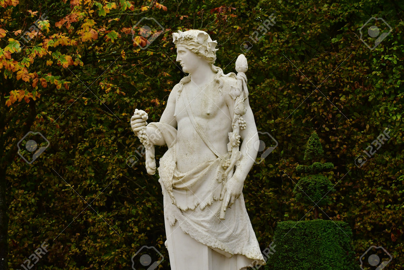 etiam-dictum-ipsum-a-felis