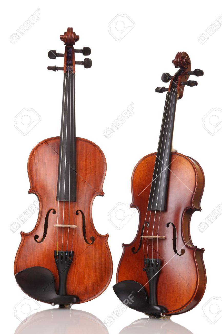 Two Violins On White Background Stock 