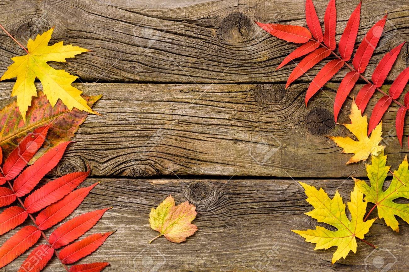 Autumn Leaves Over Wooden . Wood Background With Copy Space  Red And Yellow Leaves Stock Photo, Picture And Royalty Free Image. Image  73206187.