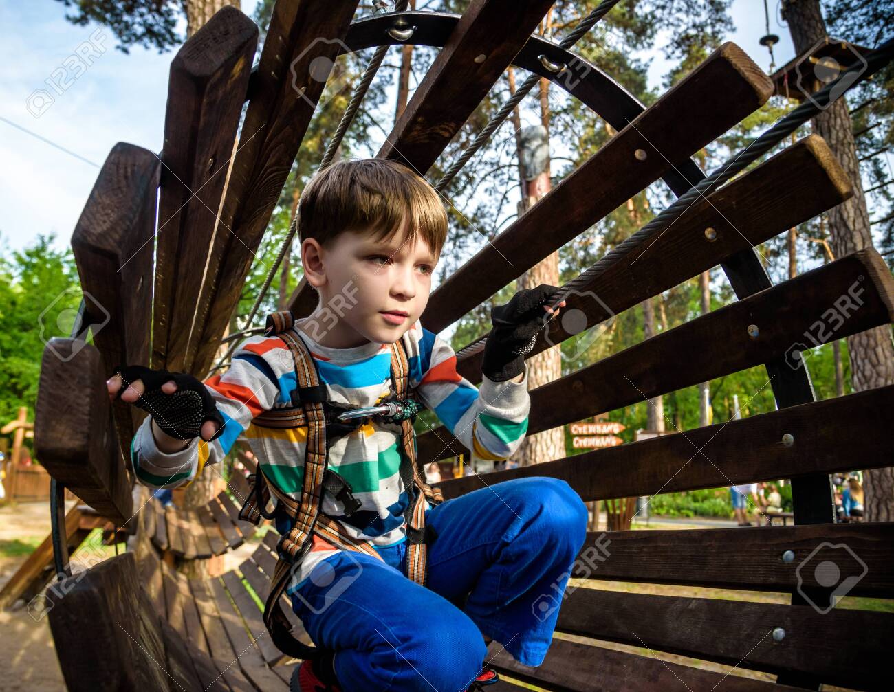 Modern Adventure Park