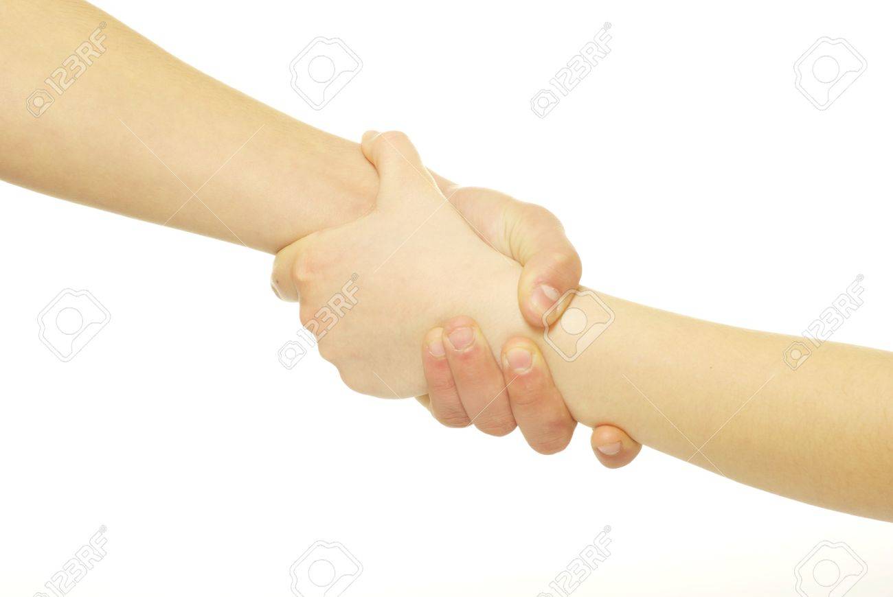 hand in a hand isolated on white - 9299148 hand in a hand isolated on white - 9299148