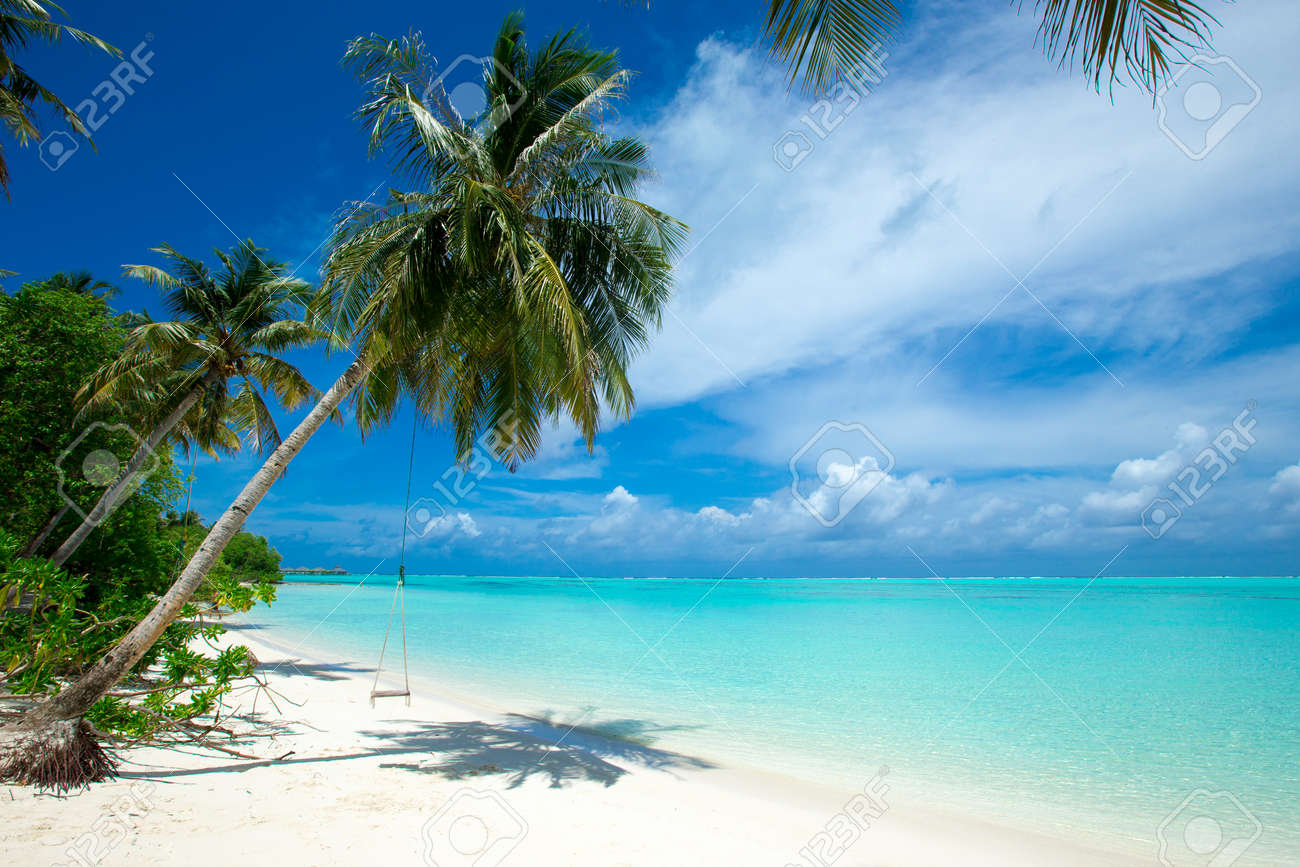 tropical Maldives island with white sandy beach and sea - 121206850 tropical Maldives island with white sandy beach and sea - 121206850