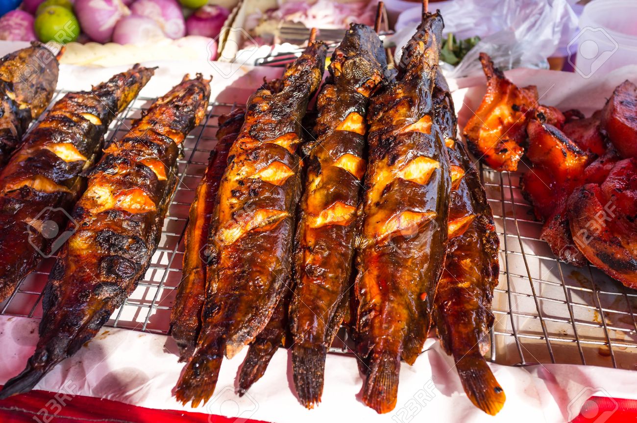 Le Poisson Chat Grille Collent Celebre Nourriture De Rue En Thailande Vendre Sur Le Marche Banque D Images Et Photos Libres De Droits Image Le Poisson Chat Grille Collent Celebre Nourriture De Rue En Thailande Vendre Sur Le Marche Banque D Images Et Photos Libres De Droits Image