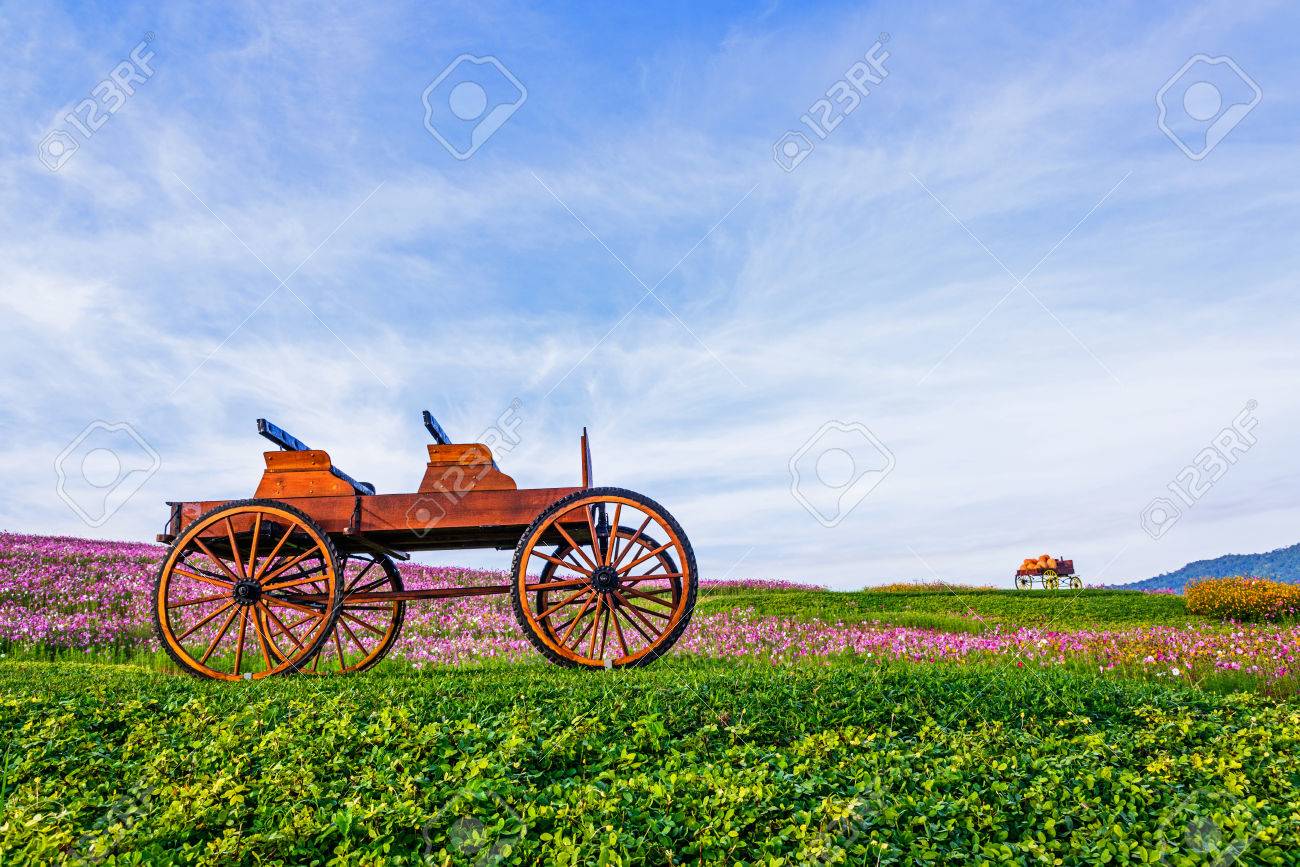 花の庭の装飾のための木製ワゴン の写真素材 画像素材 Image