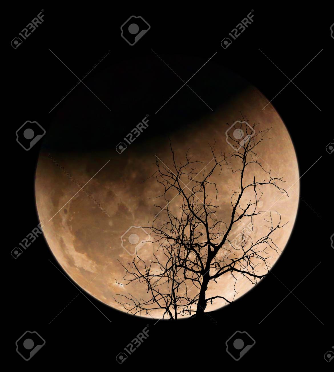 スーパーブルーブラッドムーン 珍しい月食 3つの月現象 スーパームーン ブルームーン 皆既月食 の写真素材 画像素材 Image