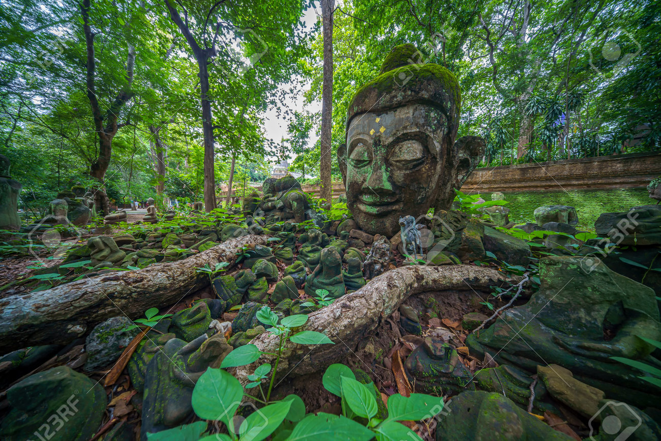 etiam-dictum-ipsum-a-felis