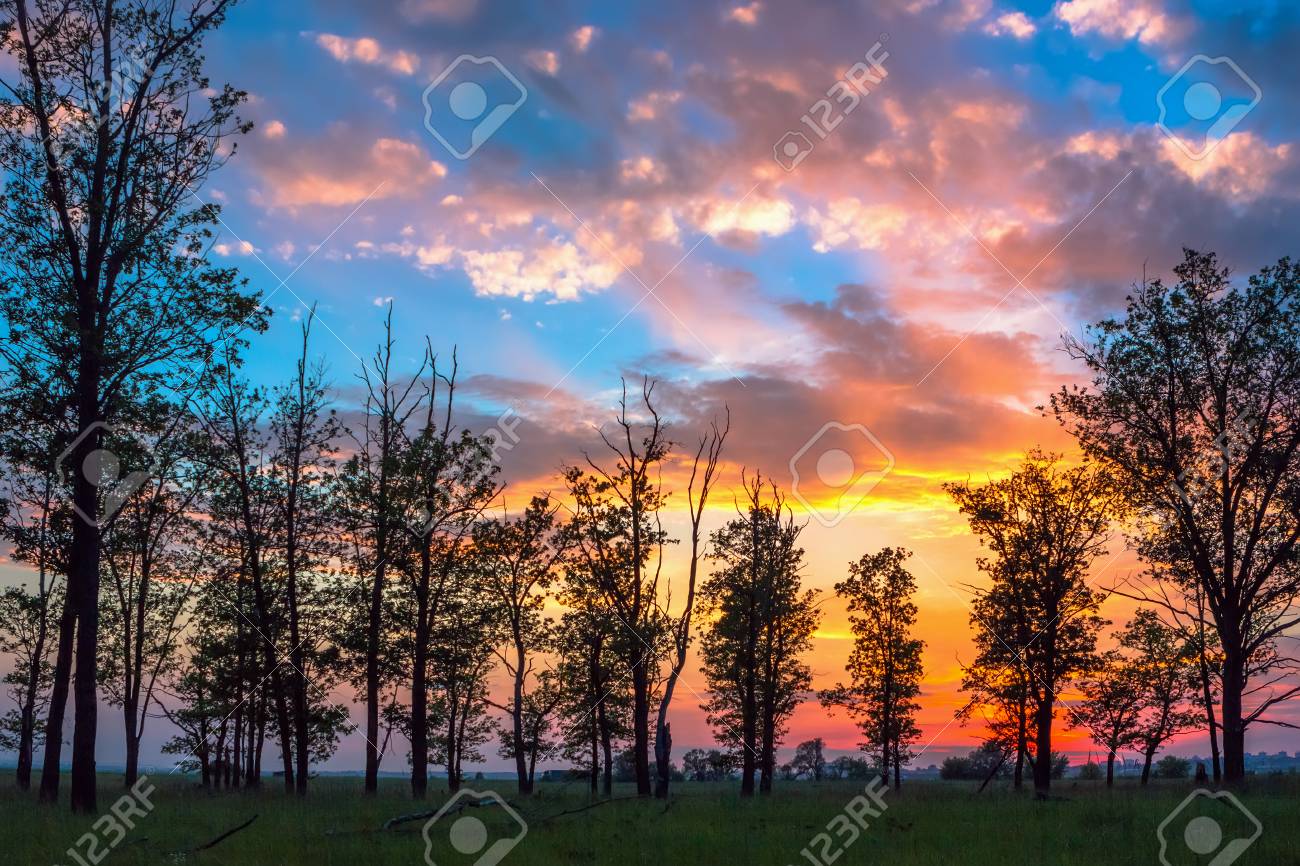夕暮れ時の積雲の雲とカラフルな空の幻想的な背景に木々 のシルエット の写真素材 画像素材 Image 夕暮れ時の積雲の雲とカラフルな空の幻想的な背景に木々 のシルエット の写真素材 画像素材 Image