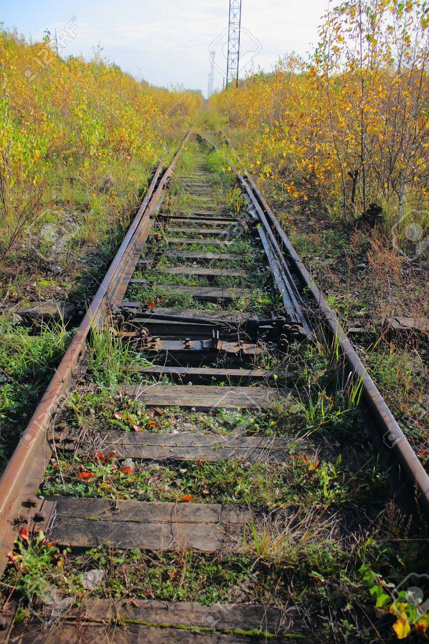 https://previews.123rf.com/images/pali/pali1112/pali111200167/11806417-The-old-railway-Grass--Stock-Photo.jpg