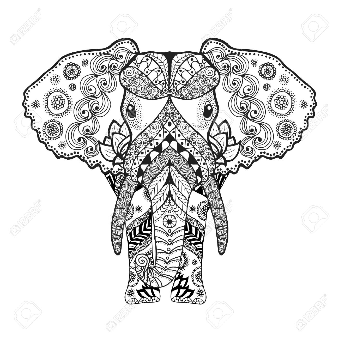 Adult antistress coloring page Black white hand drawn doodle animal Ethnic patterned vector