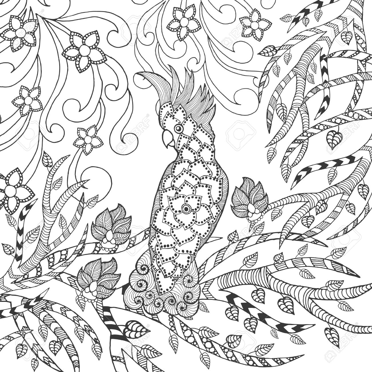 Mignon Coloriage Cacato¨s Animaux Tiré Par La Main Doodle