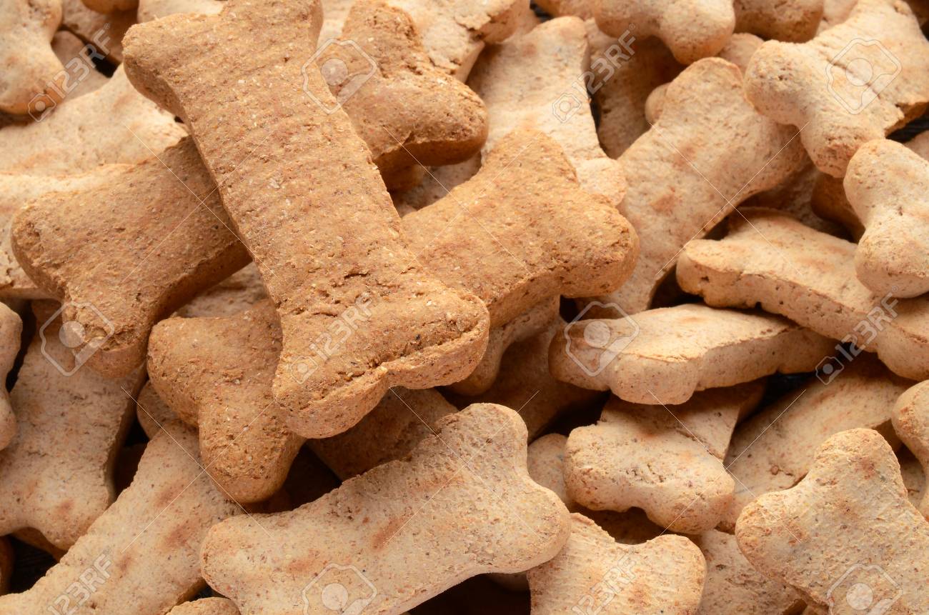 bone shaped dog biscuits