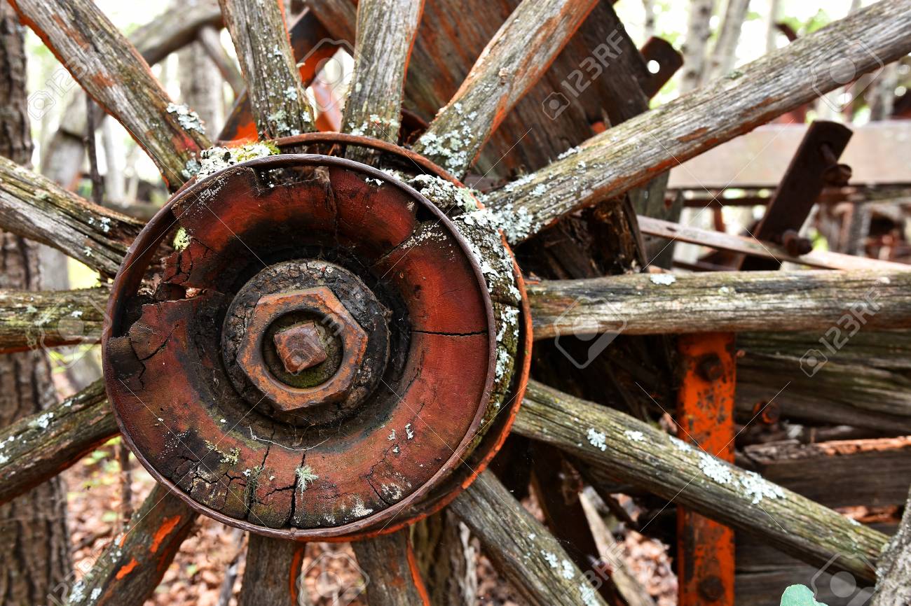 etiam-dictum-ipsum-a-felis