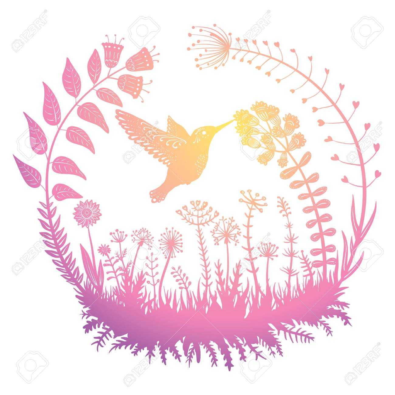 Vector Illustration Stylisé Nectar Colibri Potable De La Fleur Vol Doiseau Exotique Dans Lherbe Sur Le Terrain Les Plantes Ornementales Dans Un