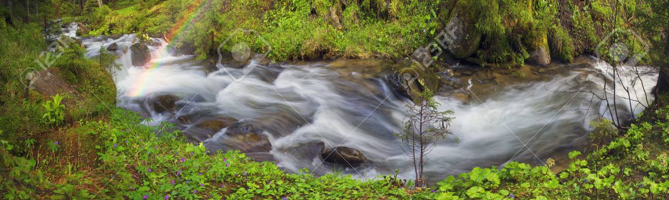 Rio No Nascer Do Sol Na Floresta Carpathian Jatos Velozes De Agua A Velocidades Lentas Dar Um Efeito De Conto De Fadas Bonito A Ucrania E Rica Em Recursos Hidricos Nas