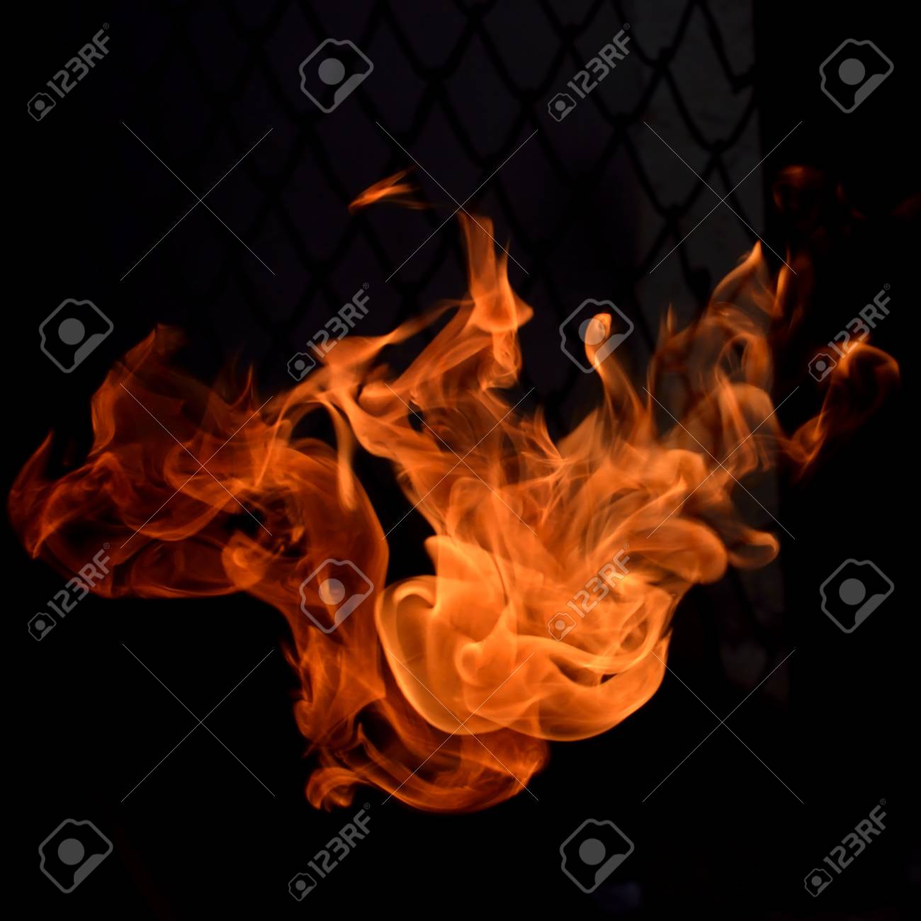 etiam-dictum-ipsum-a-felis