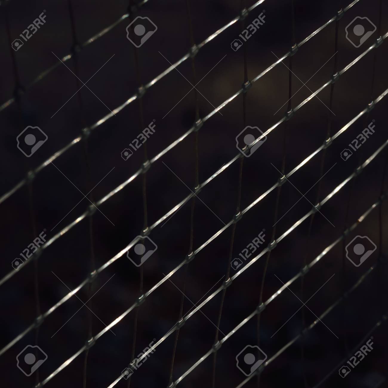 etiam-dictum-ipsum-a-felis