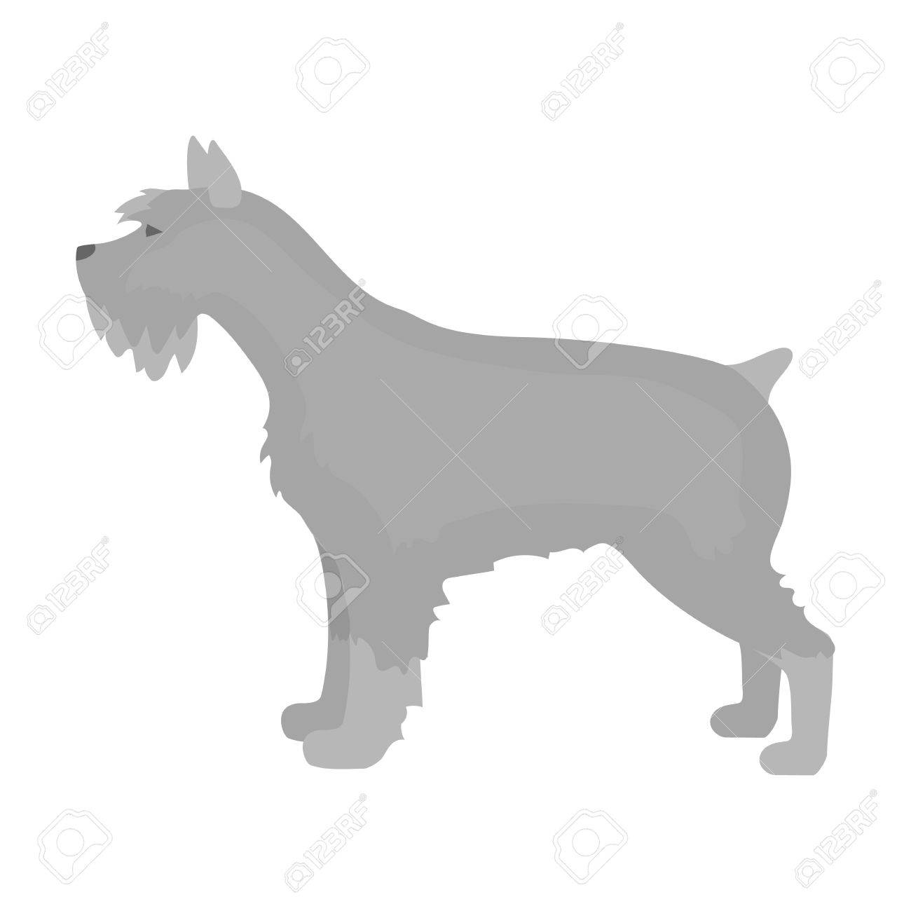 漫画デザインのシュナウザー ベクトル イラスト アイコンのイラスト素材 ベクタ Image