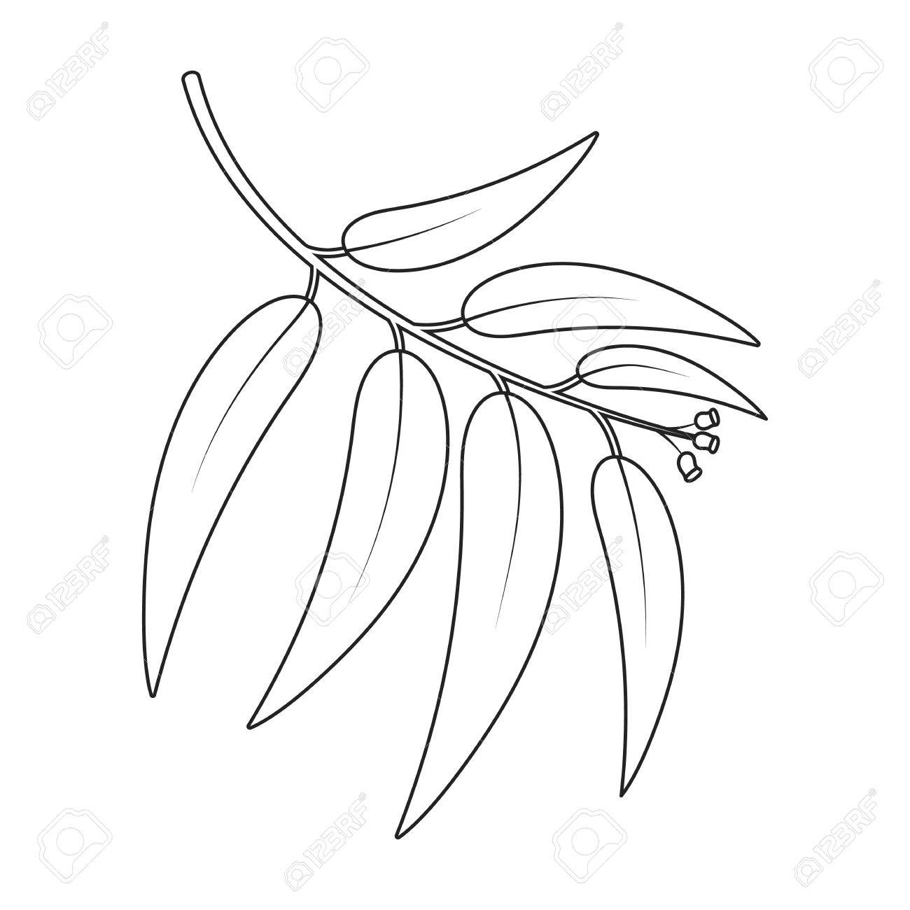 ライン デザインのユーカリ ベクトル イラスト アイコン のイラスト素材 ベクタ Image 61566183