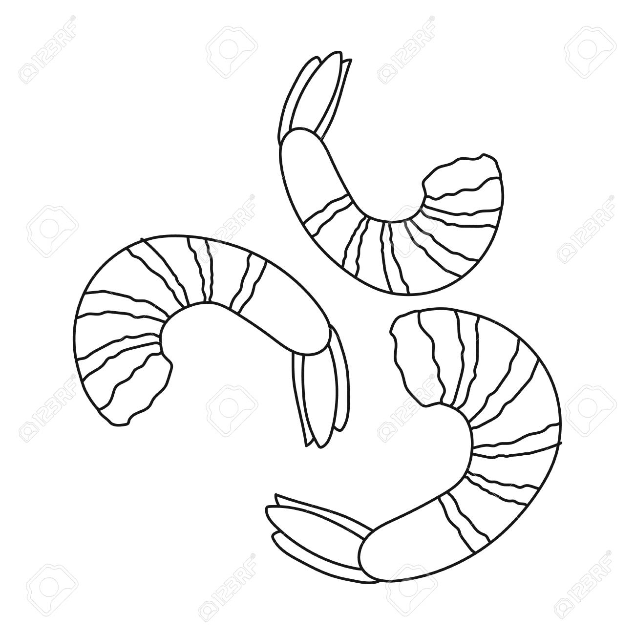 アウトライン スタイルの白い背景で隔離のエビのアイコン 寿司シンボル ベクトル イラスト のイラスト素材 ベクタ Image