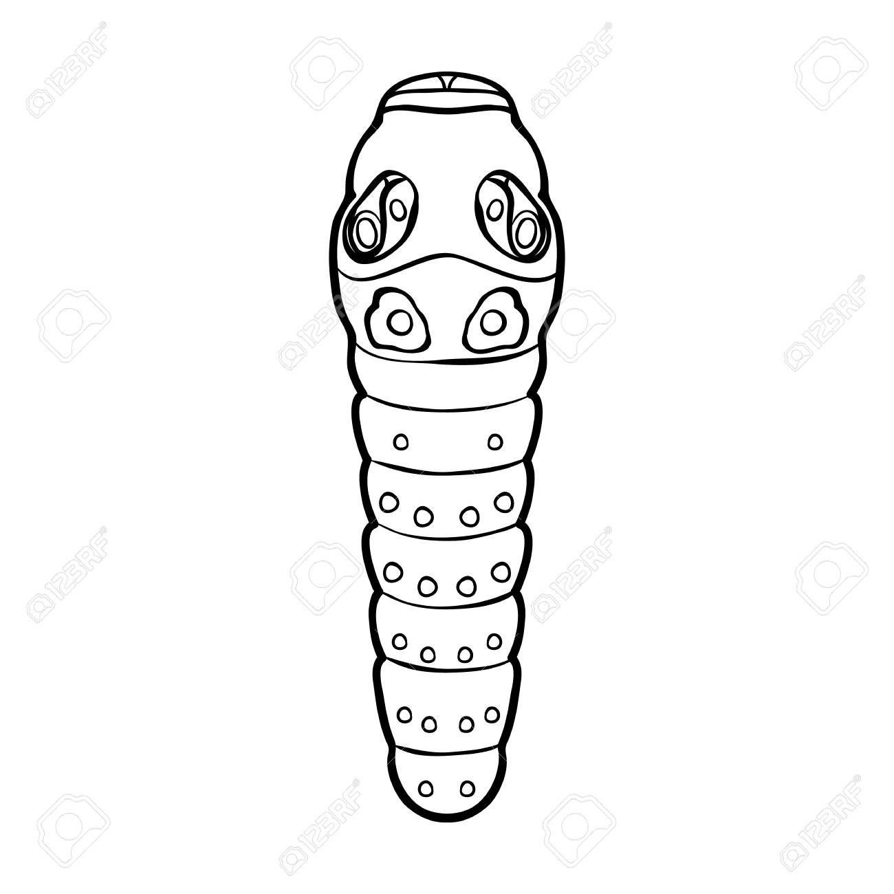 caterpillar outline st