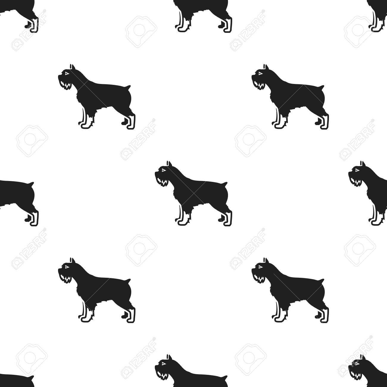 Web の黒スタイルにシュナウザー ベクトル アイコンのイラスト素材 ベクタ Image